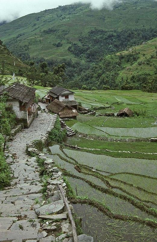 WT 1000 191-21 Nepal 2000 Vertical Feet of Stairs.jpg